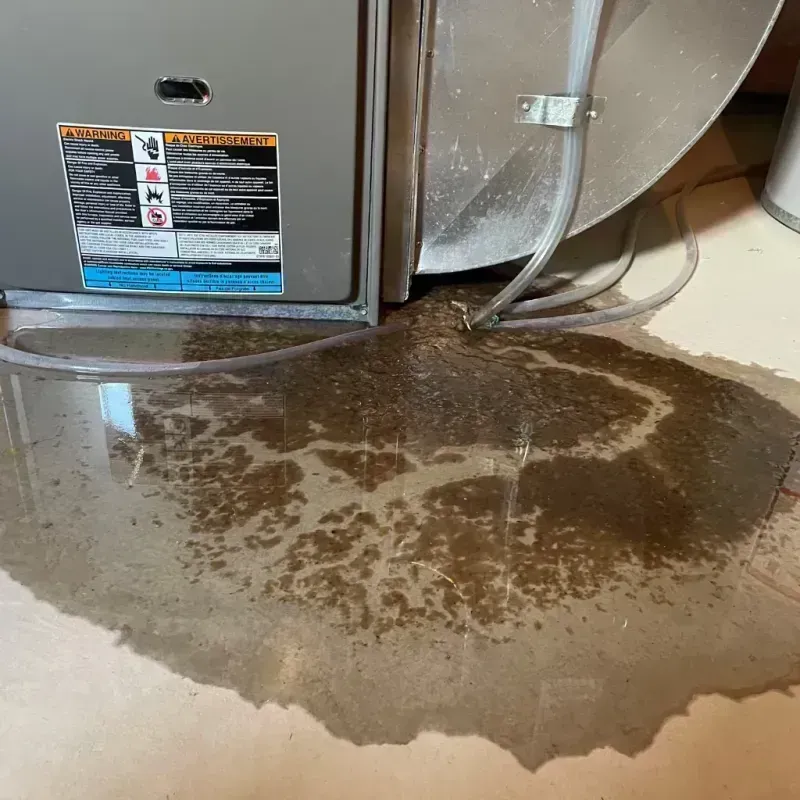 Appliance Leak Cleanup in Battlefield, MO